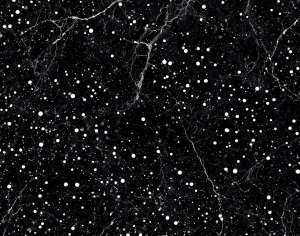 ModernMarble Tiles
