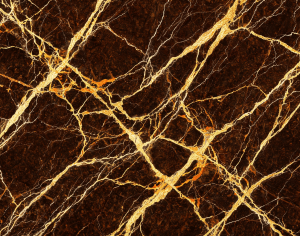 ModernMarble Tiles