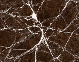 ModernMarble Tiles