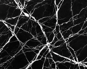 ModernMarble Tiles