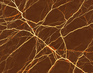 ModernMarble Tiles