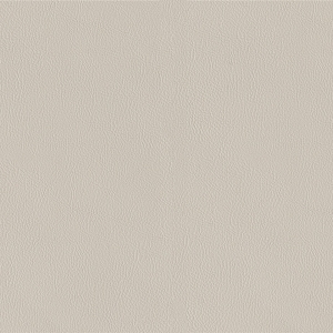 ModernFine Grain Leather