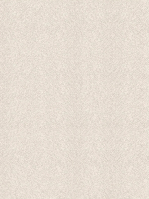 ModernFine Grain Leather