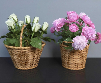 Modern Potted Green Plant-ID:396039963