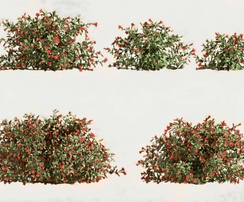 Modern Shrubbery-ID:366460082