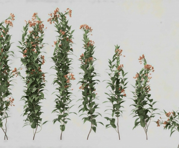 Modern Vine-ID:157175065