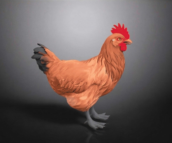 Modern Poultry Animal-ID:869483958