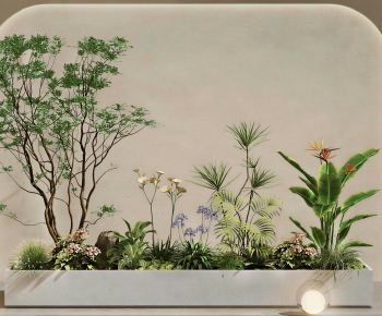 Modern Plant Landscaping-ID:149833924