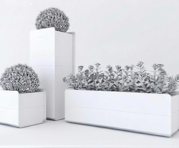 Modern Flower Bed, Flower Bowl, Flower Box-ID:996474039