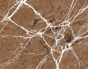 ModernMarble Tiles