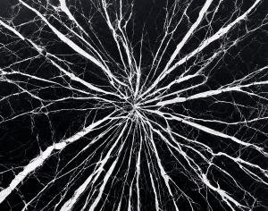 ModernMarble Tiles