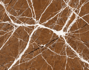 ModernMarble Tiles