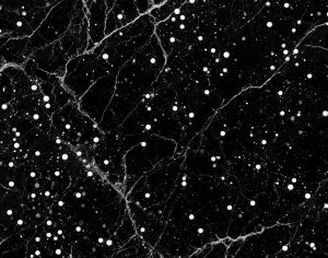 ModernMarble Tiles