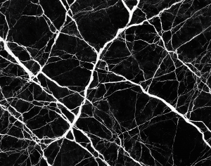 ModernMarble Tiles
