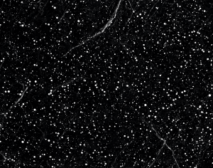 ModernMarble Tiles