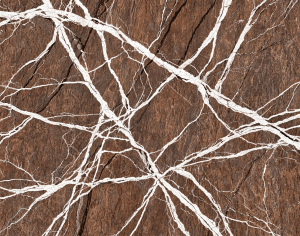 ModernMarble Tiles