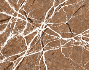 ModernMarble Tiles