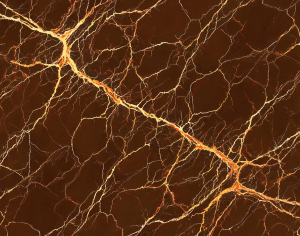 ModernMarble Tiles