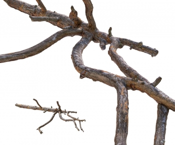 Modern Tree-ID:790565015