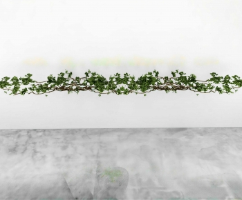 Modern Vine-ID:269252069