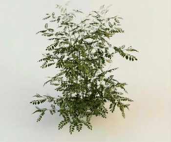 Modern Shrubbery-ID:463860991