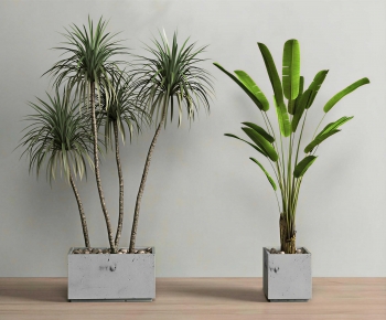 Modern Ground Green Plant Potted Plants-ID:422754059