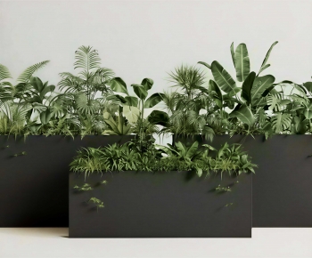 Modern Flower Bed, Flower Bowl, Flower Box-ID:527625087