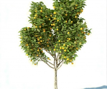 Modern Tree-ID:268846044