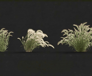 Modern The Grass-ID:789392959