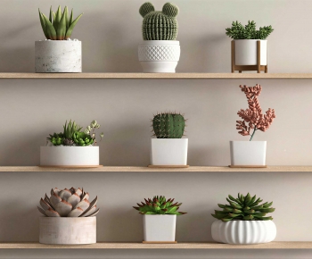 Modern Desktop Plant-ID:656380894