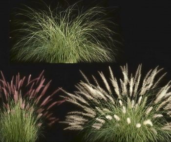 Modern Flowers And Grass-ID:287809491