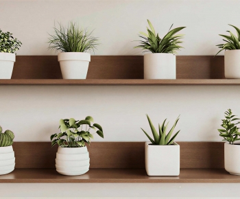 Modern Desktop Plant-ID:125657084