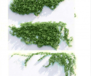 Modern Vine-ID:164629943