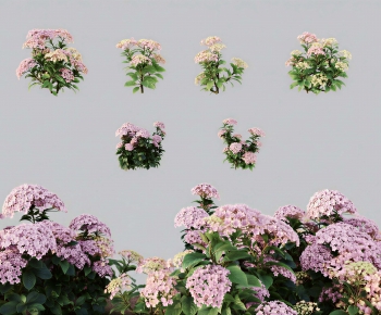 Modern Flowers And Grass-ID:707253937