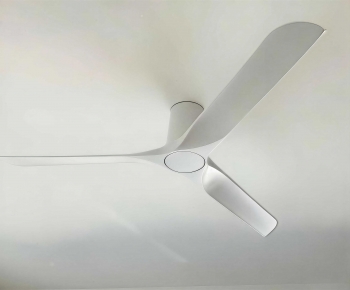 Modern Fan-ID:602259631