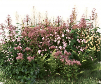 Modern Plant Pile-ID:771430975