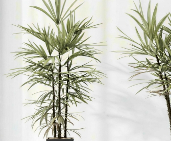 Modern Ground Green Plant Potted Plants-ID:796928882
