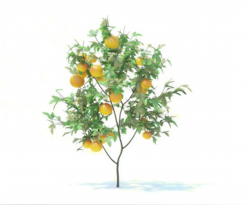 Modern Tree-ID:778354886