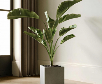 Modern Ground Green Plant Potted Plants-ID:778702023