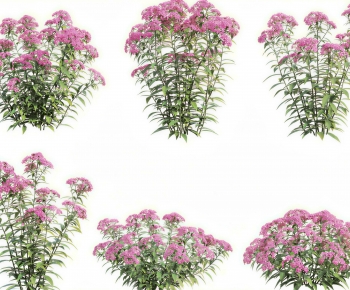 Modern Flowers And Grass-ID:737776998