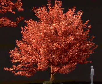 Modern Tree-ID:593030555