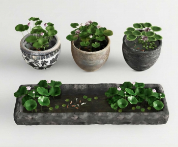 Chinese Style Garden-ID:773565053