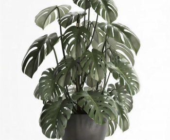 Modern Potted Green Plant-ID:813110119