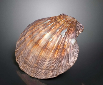 Modern Aquatic Product-ID:448131087
