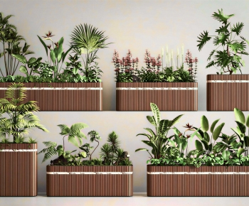 Modern Flower Bed, Flower Bowl, Flower Box-ID:861709121