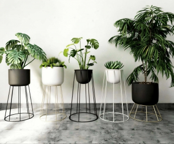 Modern Ground Green Plant Potted Plants-ID:488450052