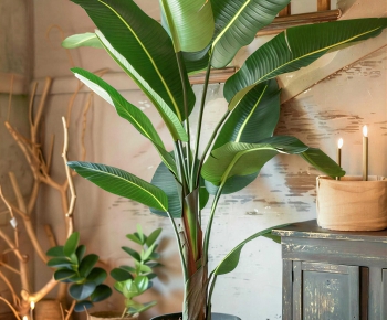 Modern Ground Green Plant Potted Plants-ID:110867029