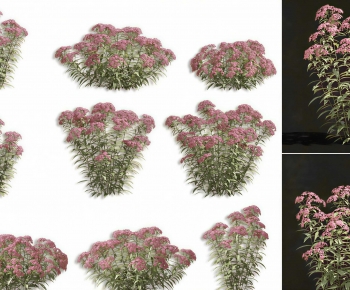 Modern Shrubbery-ID:633498914