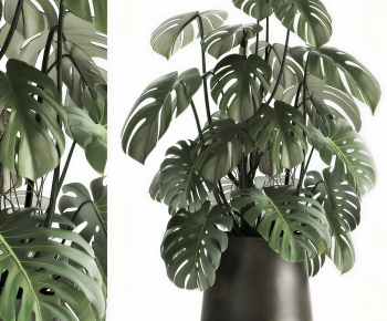 Modern Potted Green Plant-ID:393300064