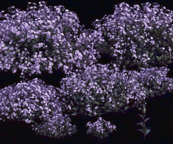 Modern Flowers And Grass-ID:625098947